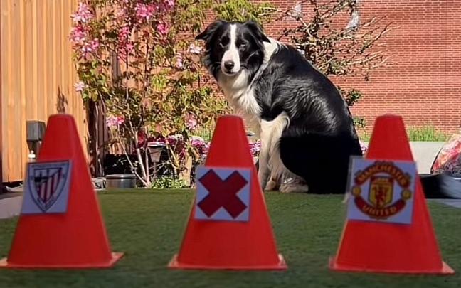 Tax frente a los conos con los escudos del Athletic Club y el Manchester United. TIKTOK: @TACTICALTAX_