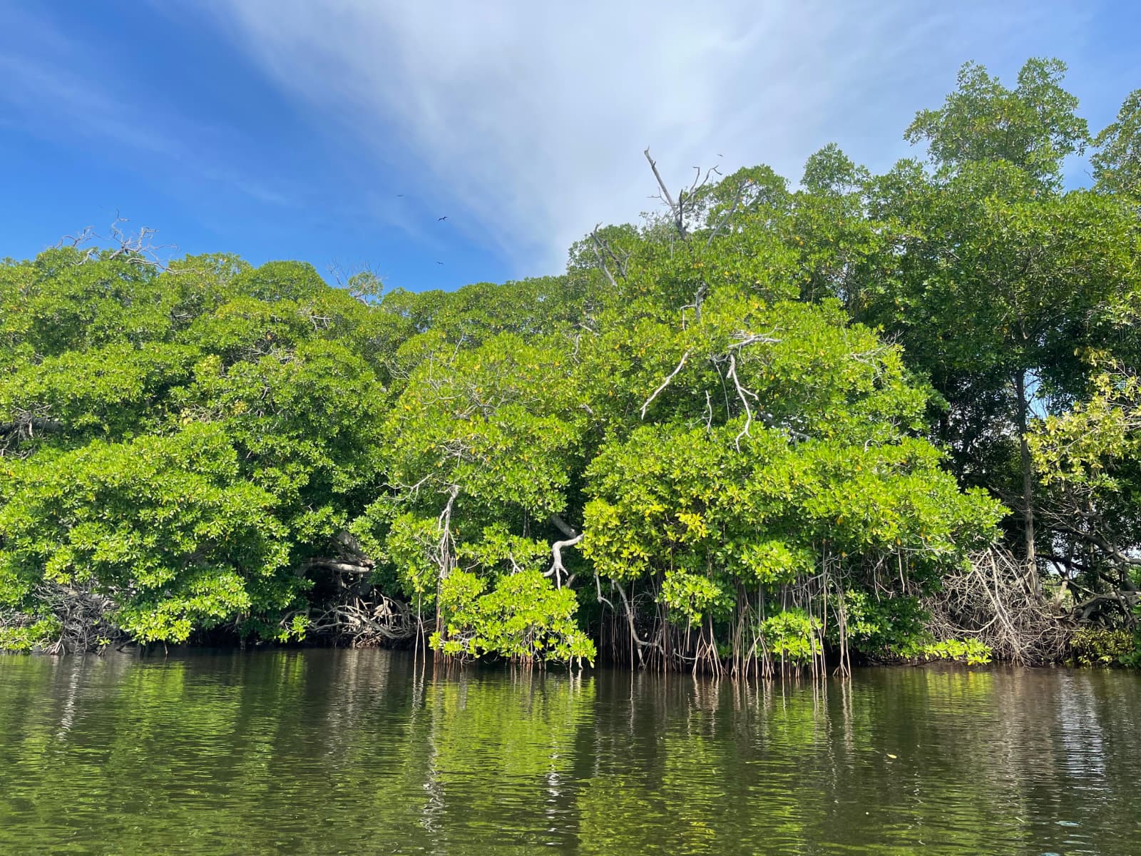 Onda Vasca visita el Refugio de Fauna Silvestre de Cuare. ONDA VASCA
