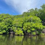 Onda Vasca visita el Refugio de Fauna Silvestre de Cuare. ONDA VASCA