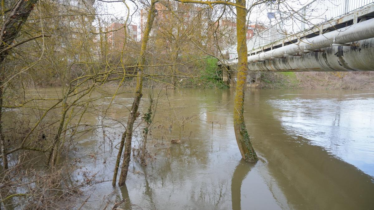 El Zadorra a su paso por Abetxuko este domingo. Jorge Muñoz