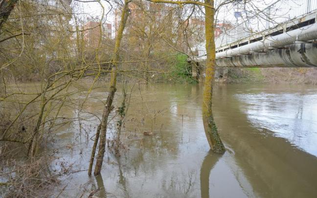 El Zadorra a su paso por Abetxuko este domingo. Jorge Muñoz